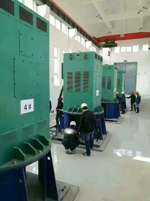 丹江口某污水处理厂使用我厂的立式高压电机安装现场